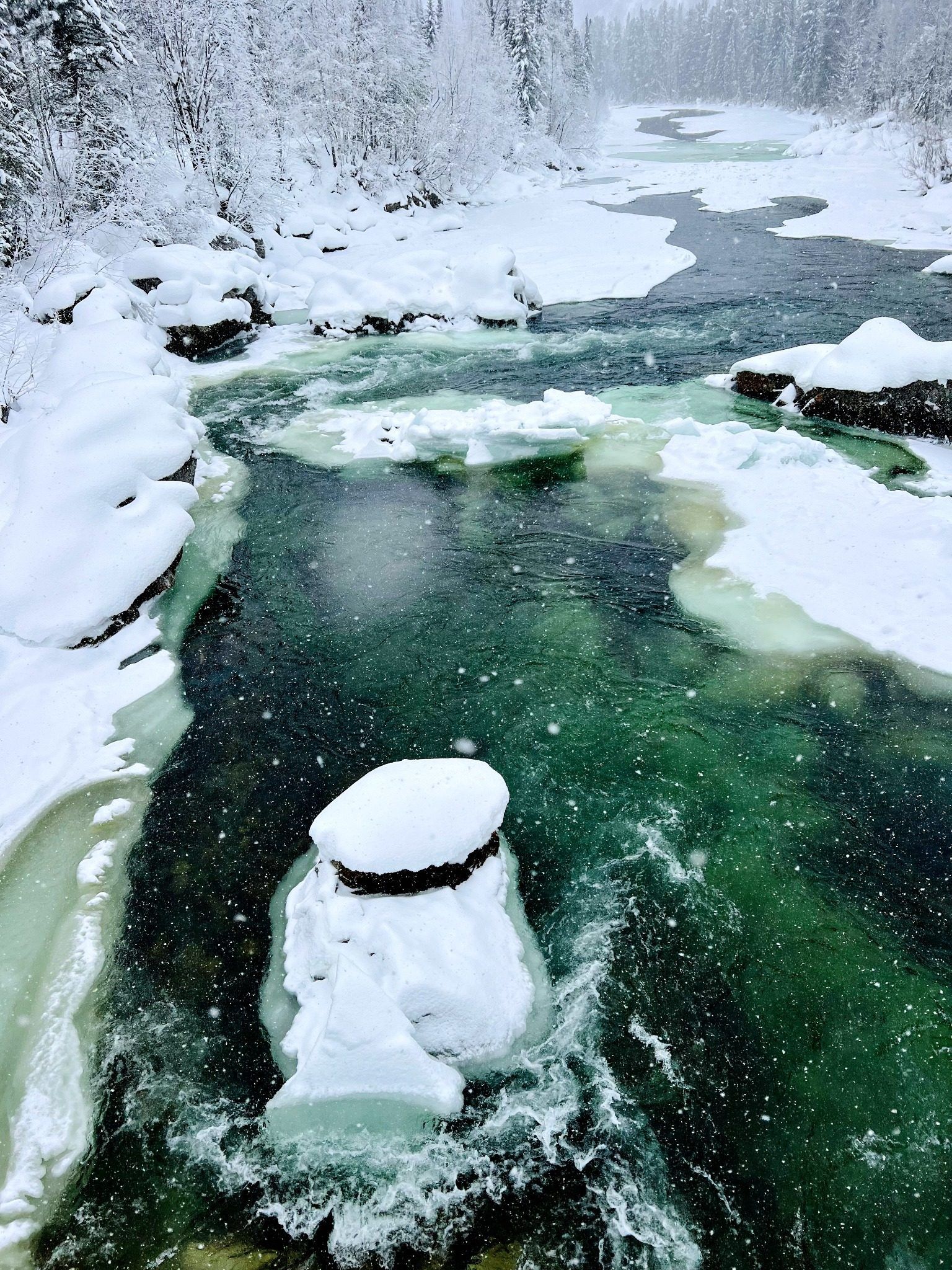 Frozen river and taiga forest