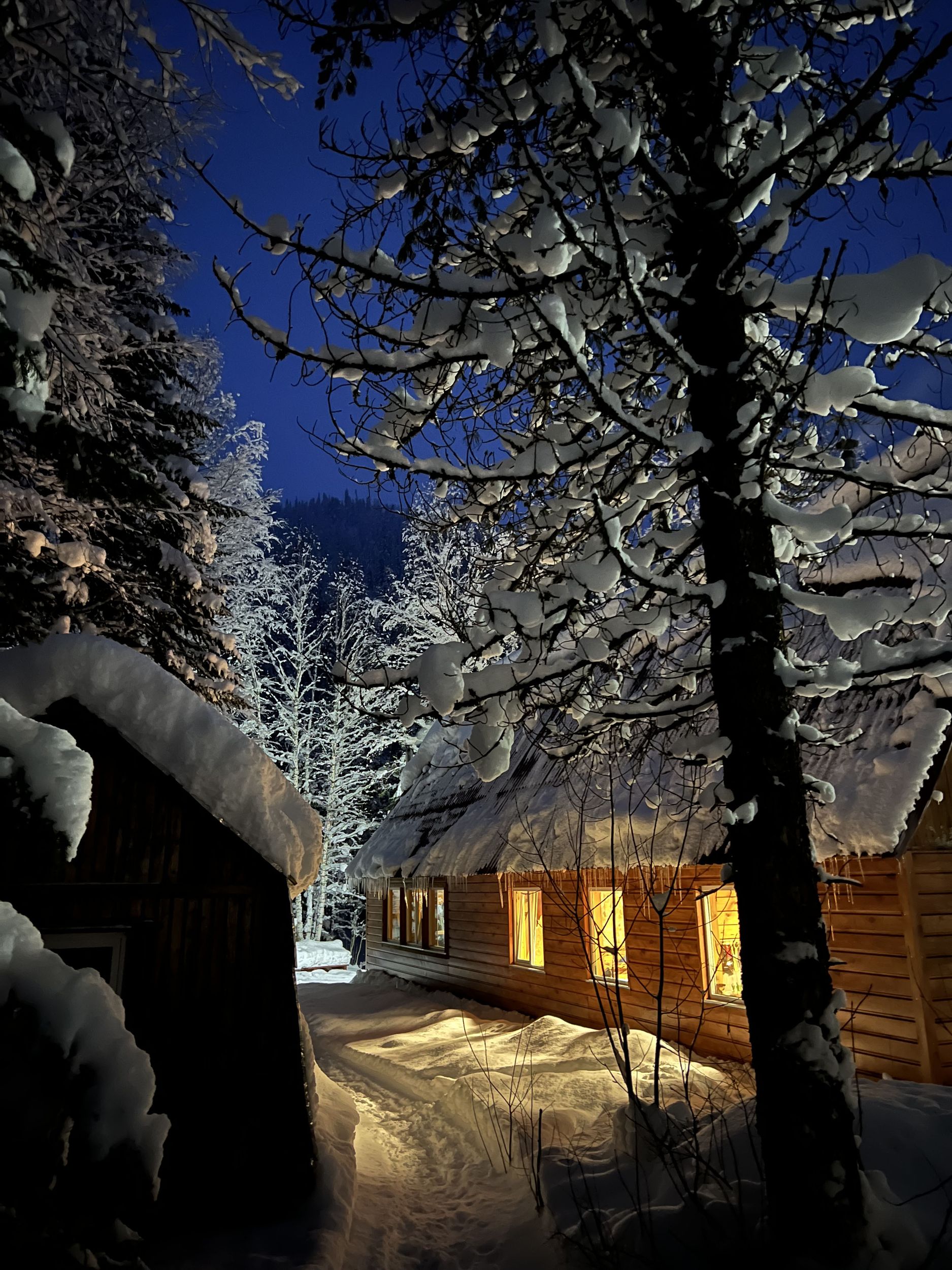 Snowy bridge and taiga at dusk