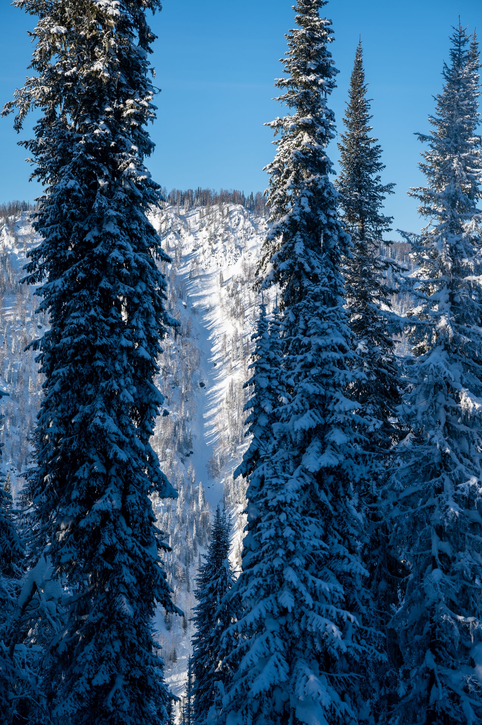 Siberian couloir and steep slopes