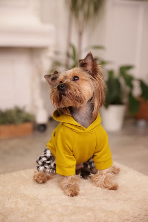 Обложка Большая фотокнига