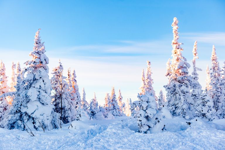 Обложка Большая фотокнига