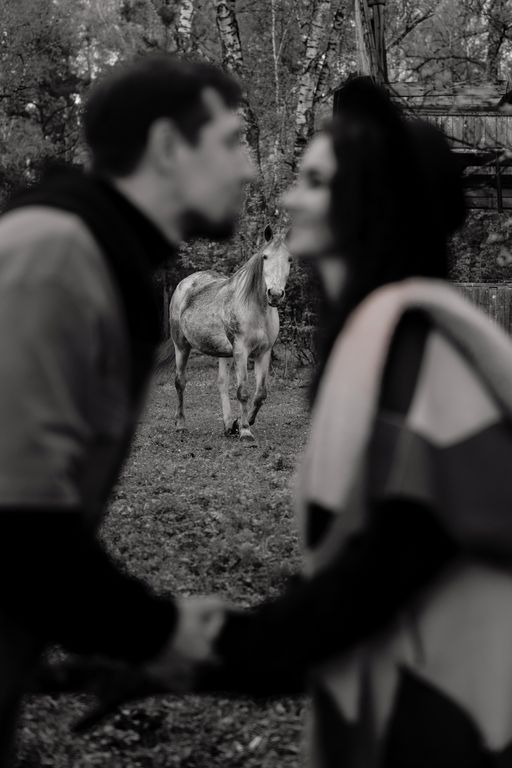 Обложка Большая фотокнига