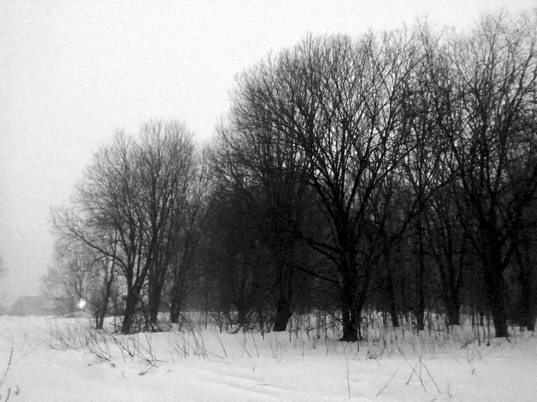 Обложка Большая фотокнига