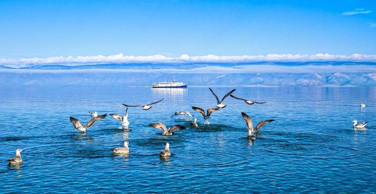 Обложка Большая фотокнига