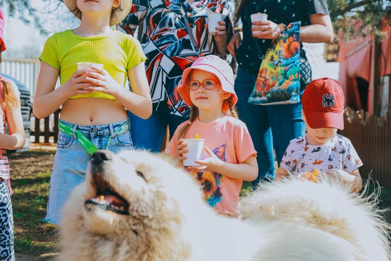 Обложка Большая фотокнига