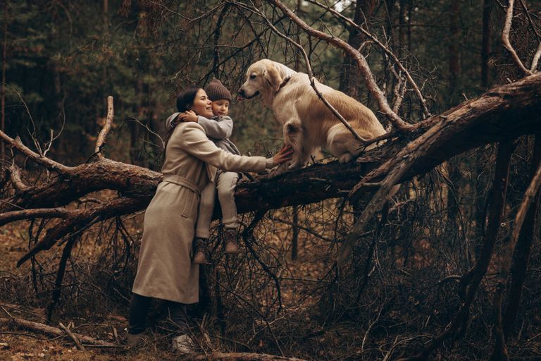 Обложка Большая фотокнига