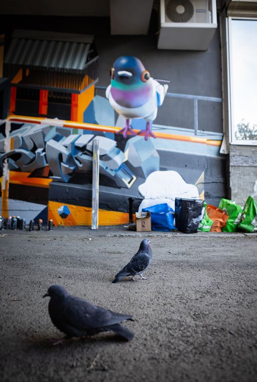 Обложка Большая фотокнига