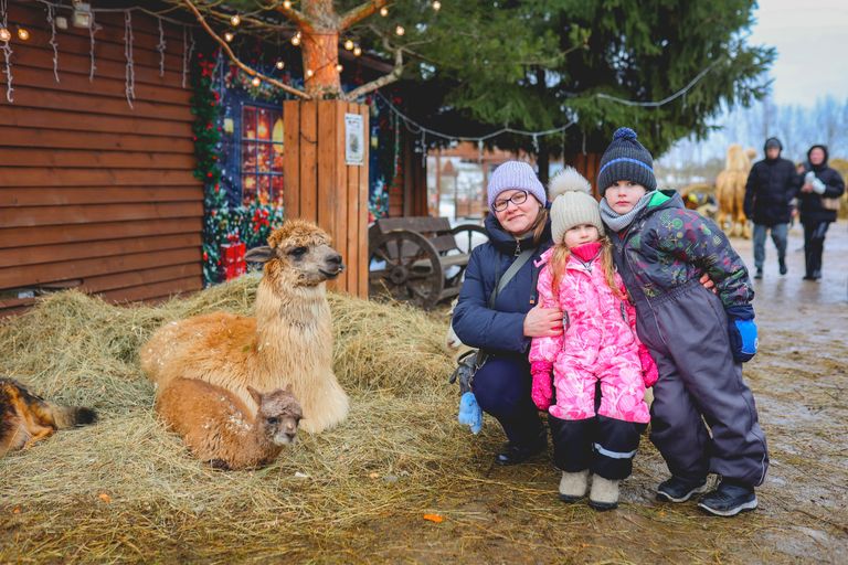 Обложка Большая фотокнига