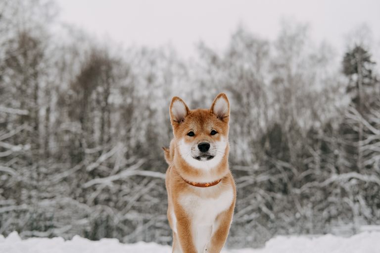 Обложка Большая фотокнига