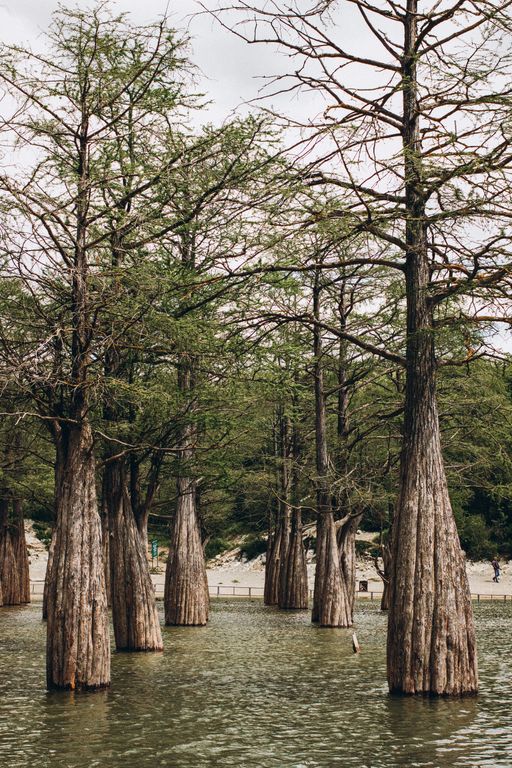 Обложка Большая фотокнига