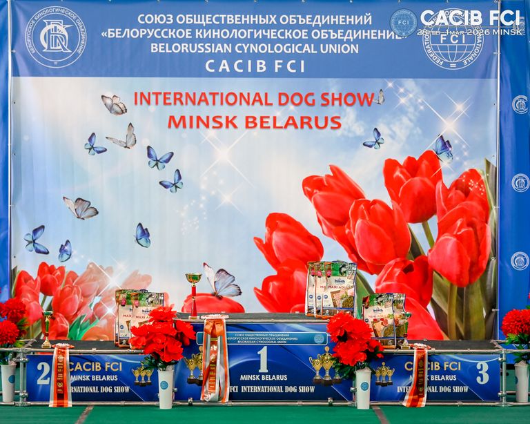 Обложка Большая фотокнига