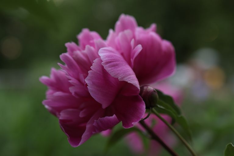 Обложка Большая фотокнига