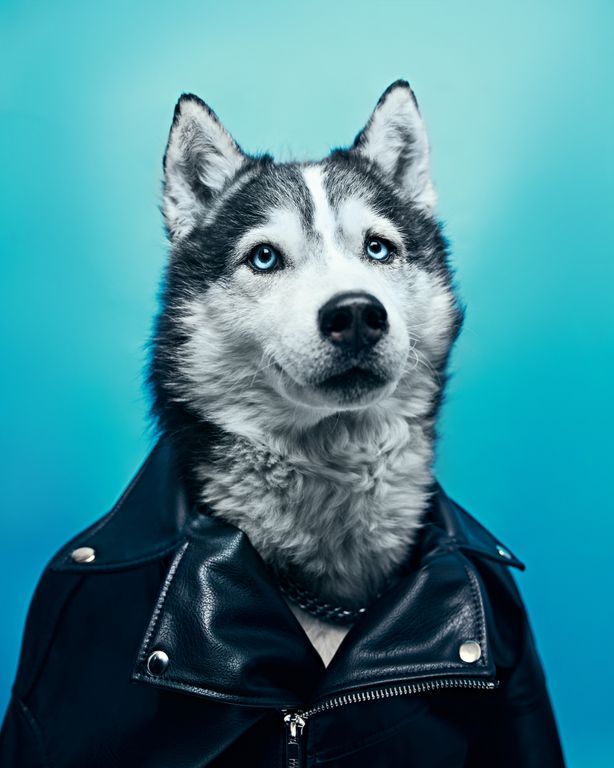 Обложка Большая фотокнига