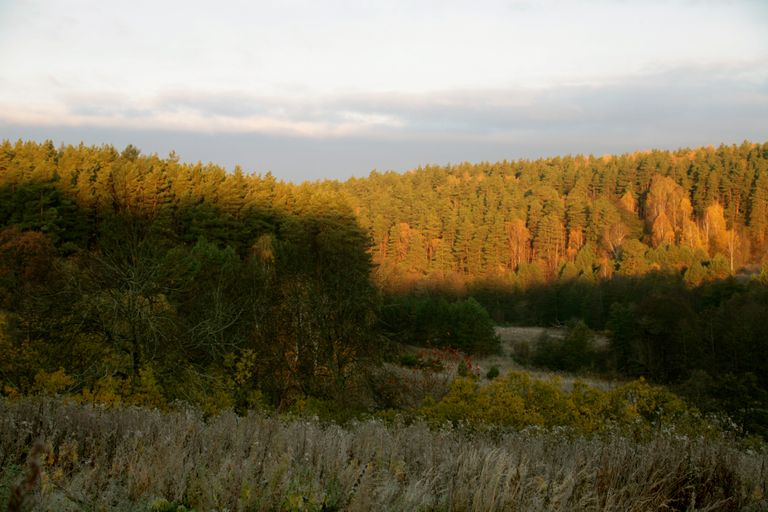 Обложка Большая фотокнига