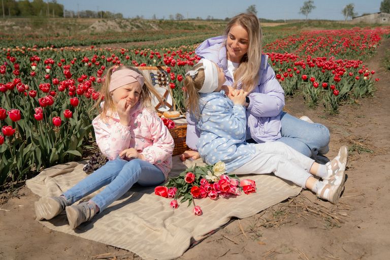 Обложка Большая фотокнига