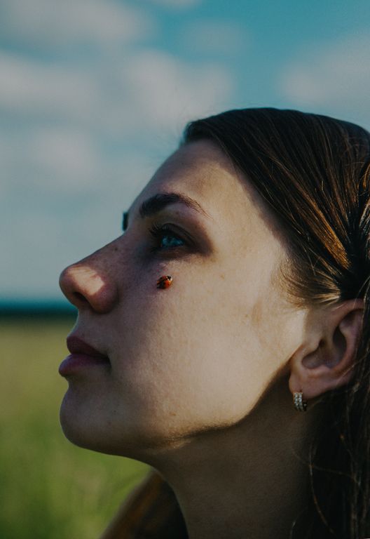 Обложка Большая фотокнига