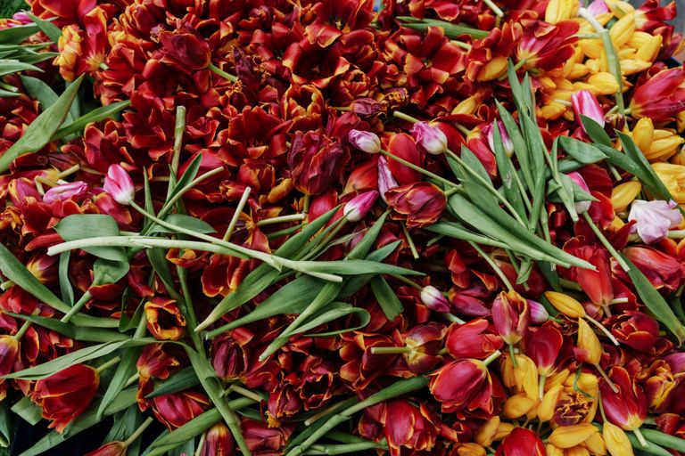 Обложка Большая фотокнига