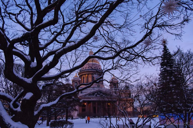 Обложка Большая фотокнига