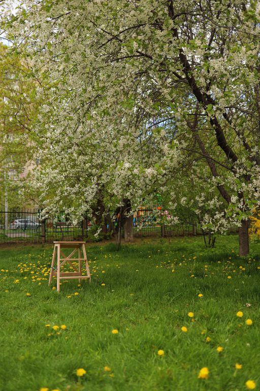 Обложка Большая фотокнига