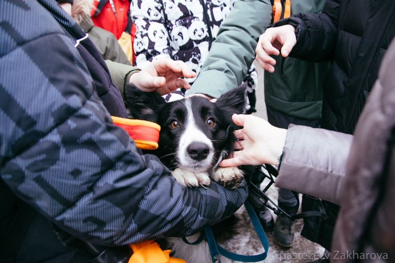 Обложка Большая фотокнига