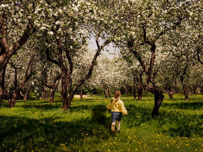 Обложка Большая фотокнига