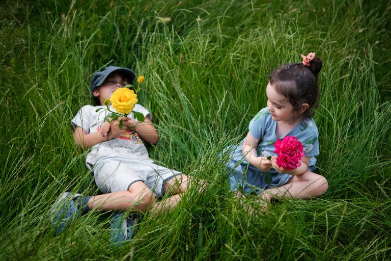 Обложка Большая фотокнига