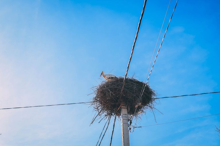 Обложка Большая фотокнига