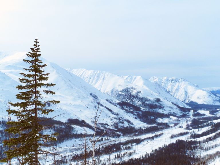 Обложка Большая фотокнига