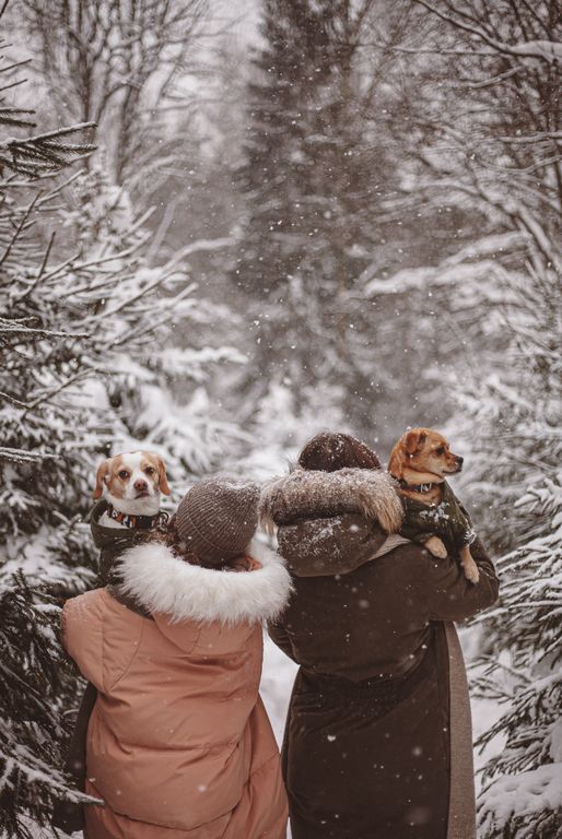 Обложка Большая фотокнига