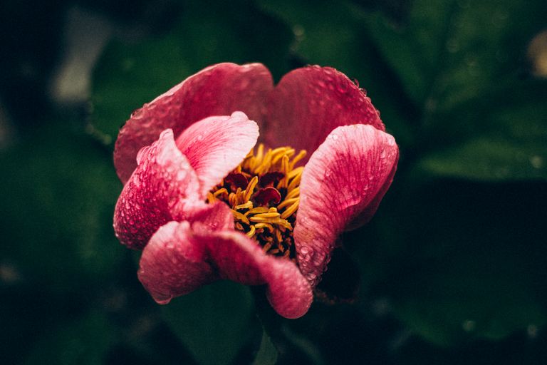 Обложка Большая фотокнига