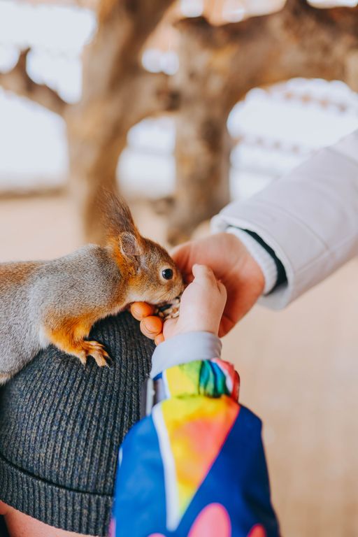 Обложка Большая фотокнига