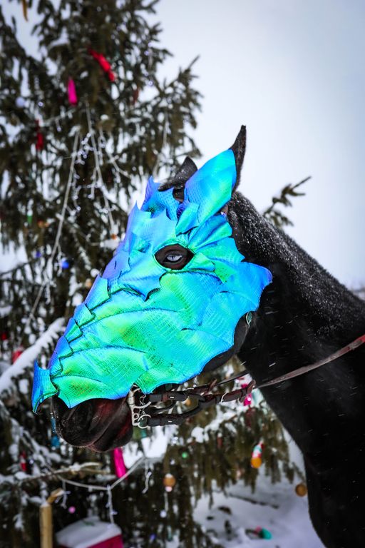 Обложка Большая фотокнига