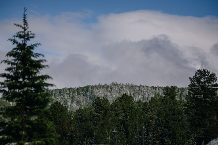 Обложка Большая фотокнига