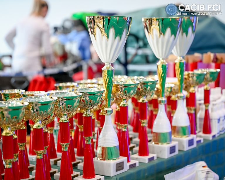 Обложка Большая фотокнига