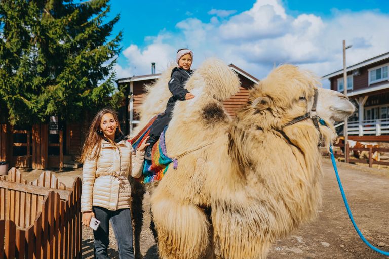 Обложка Большая фотокнига