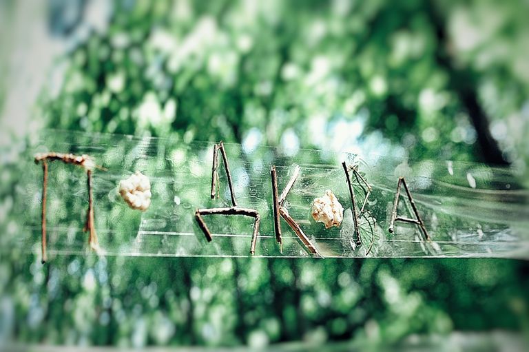 Обложка Большая фотокнига