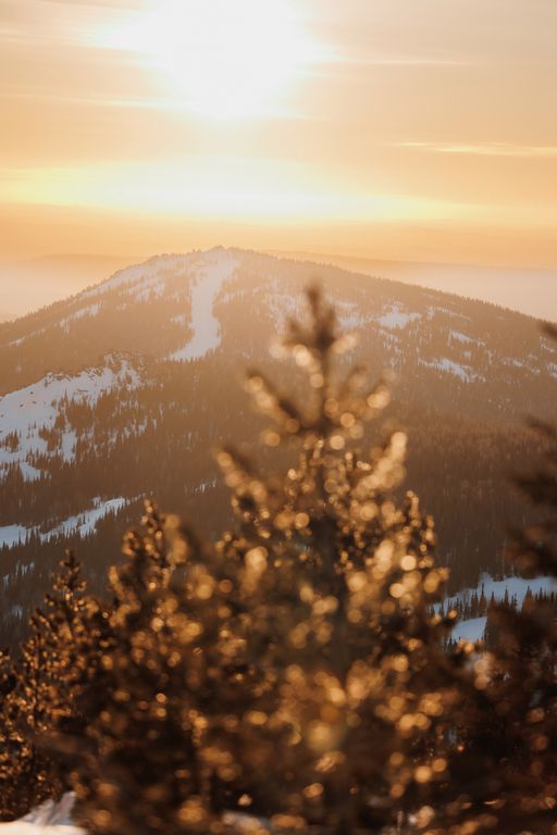 Обложка Большая фотокнига