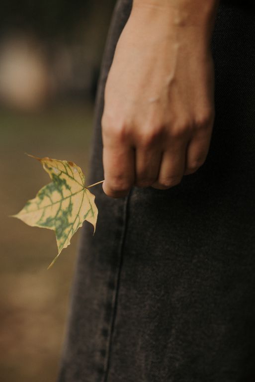 Обложка Большая фотокнига