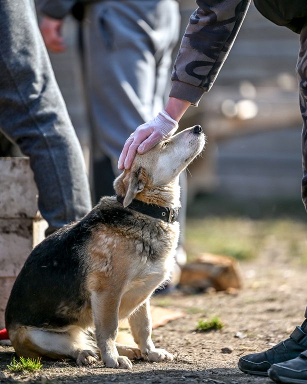 Обложка Большая фотокнига