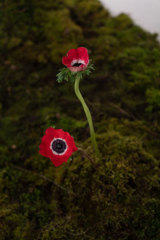 Обложка Большая фотокнига