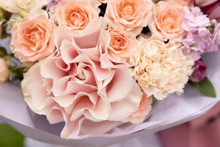 Обложка Большая фотокнига