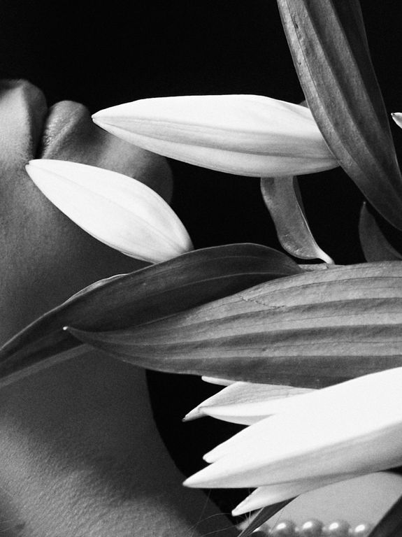 Обложка Большая фотокнига