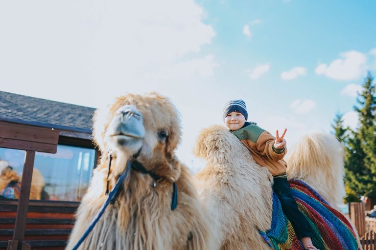 Обложка Большая фотокнига