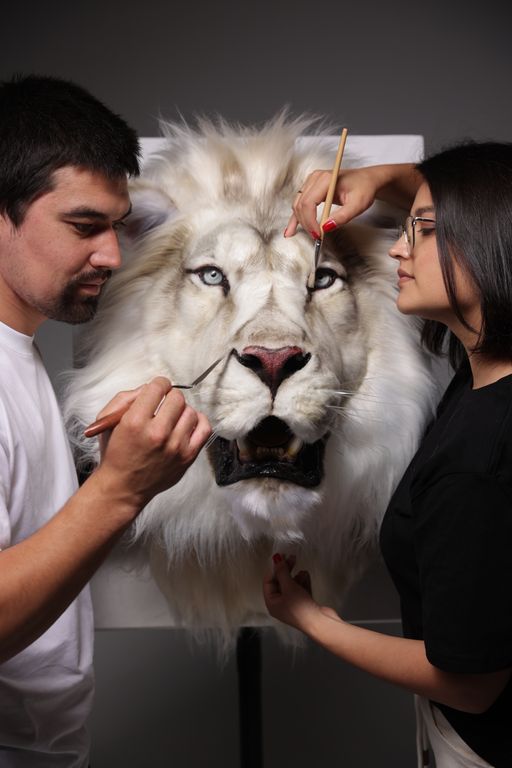 Обложка Большая фотокнига