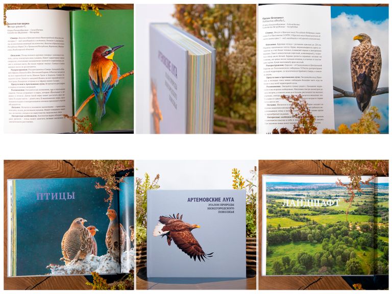 Обложка Большая фотокнига