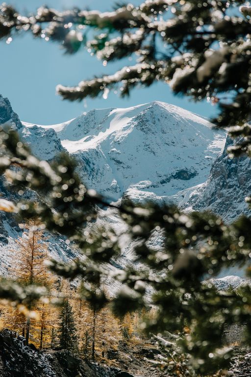 Обложка Большая фотокнига