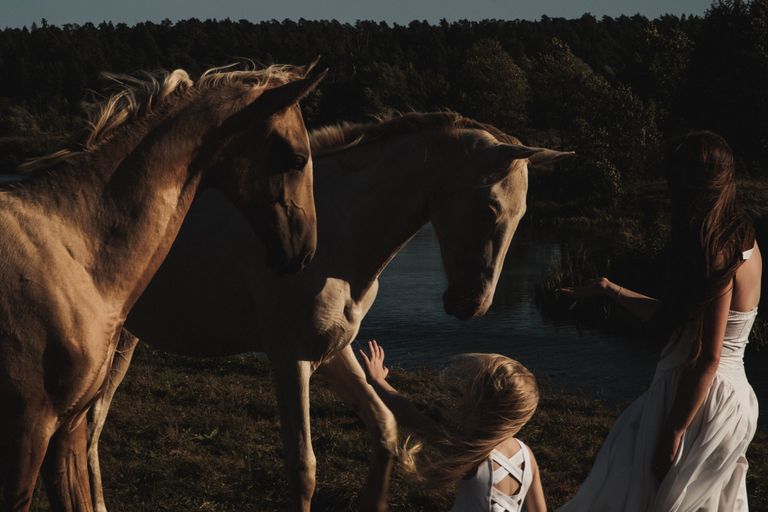 Обложка Большая фотокнига