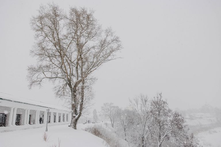 Обложка Большая фотокнига