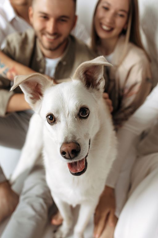 Обложка Большая фотокнига