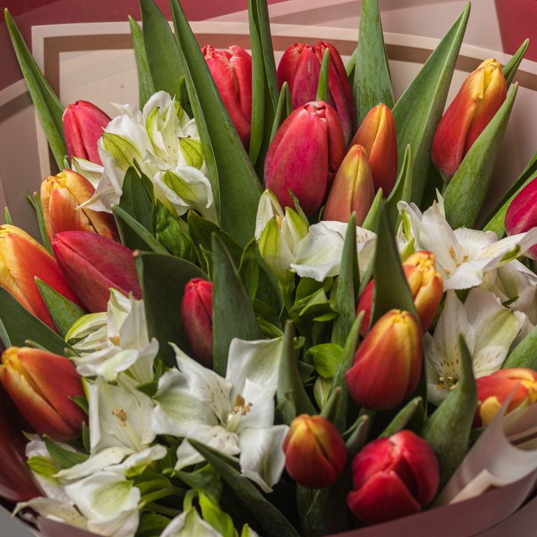 Обложка Большая фотокнига